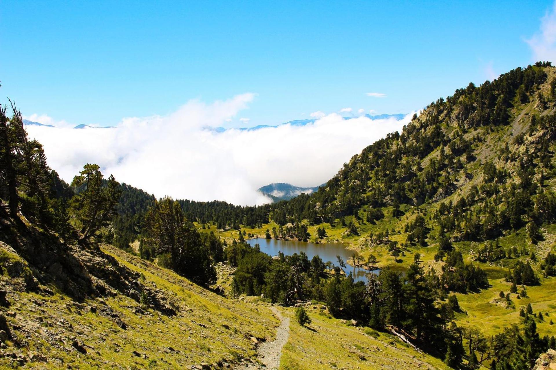 Le T2 Douillet D'Uriage - Residence Le Louvre - Cure Thermale Uriage- Proche Chamrousse - Jusqu'A 3 Personnes - Region Agreable En Toute Saison Vaulnaveys-le-Haut Esterno foto